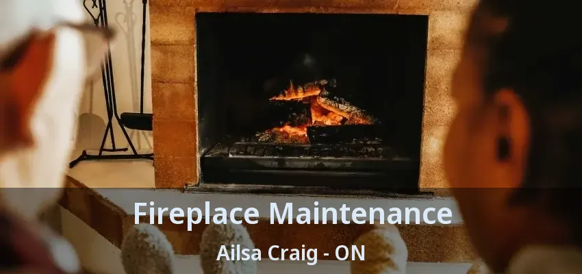 Fireplace Maintenance Ailsa Craig - ON