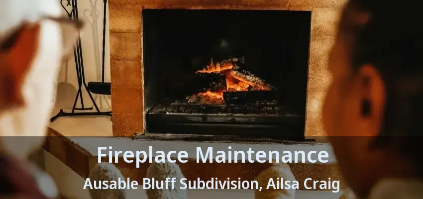 Fireplace Maintenance Ausable Bluff Subdivision, Ailsa Craig - ON