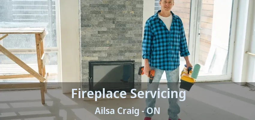 Fireplace Servicing Ailsa Craig - ON