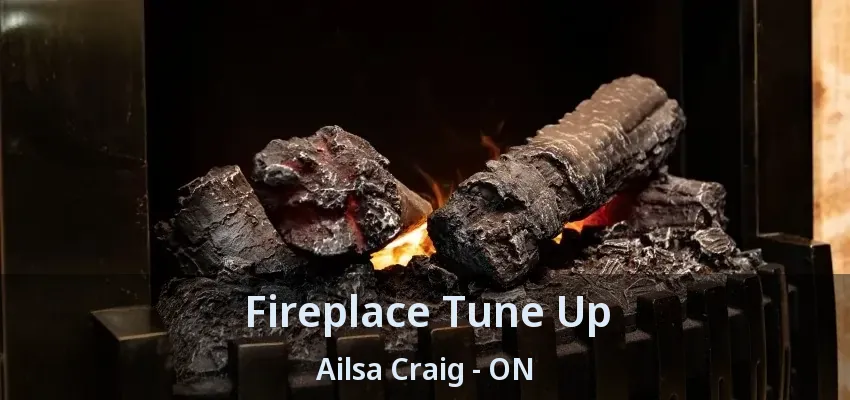 Fireplace Tune Up Ailsa Craig - ON Fireplace Tune Up Ailsa Craig - ON
