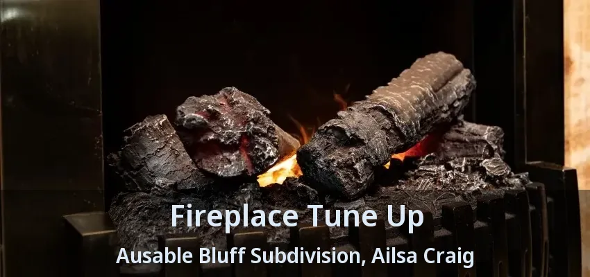 Fireplace Tune Up Ausable Bluff Subdivision, Ailsa Craig - ON