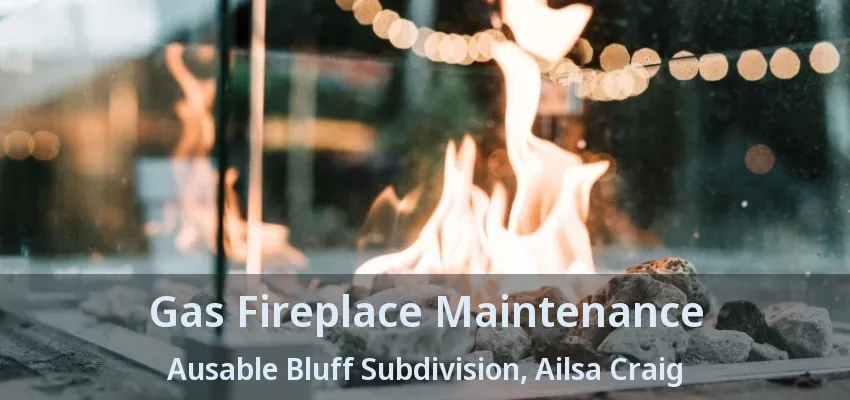 Gas Fireplace Maintenance Ausable Bluff Subdivision, Ailsa Craig - ON Gas Fireplace Maintenance Ausable Bluff Subdivision, Ailsa Craig - ON
