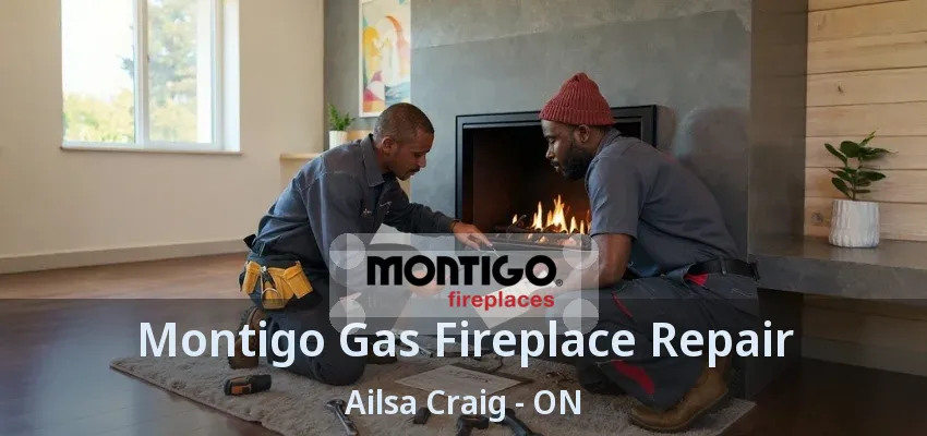 Montigo Gas Fireplace Repair Ailsa Craig - ON Montigo Gas Fireplace Repair Ailsa Craig - ON