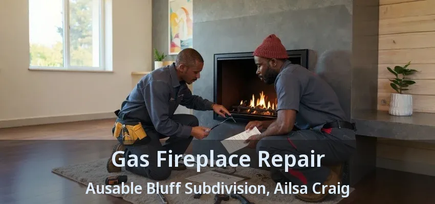Gas Fireplace Repair Ausable Bluff Subdivision, Ailsa Craig - ON