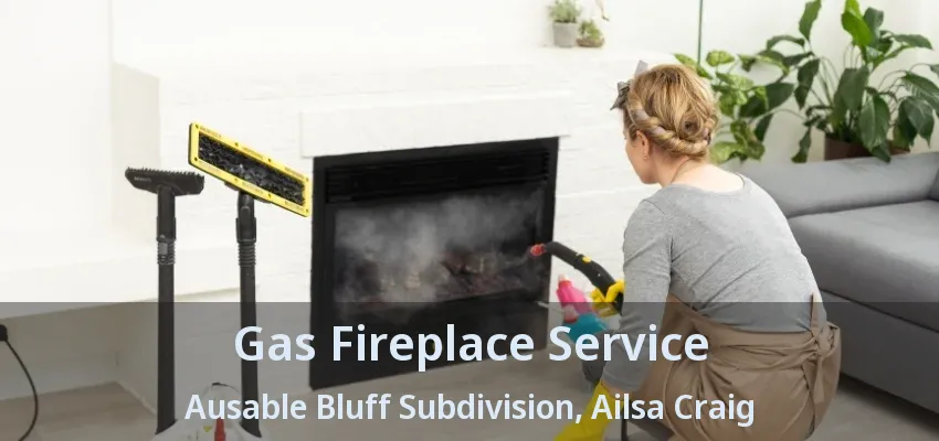 Gas Fireplace Service Ausable Bluff Subdivision, Ailsa Craig - ON