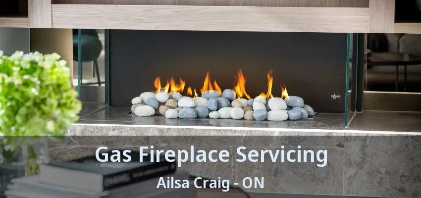 Gas Fireplace Servicing Ailsa Craig - ON