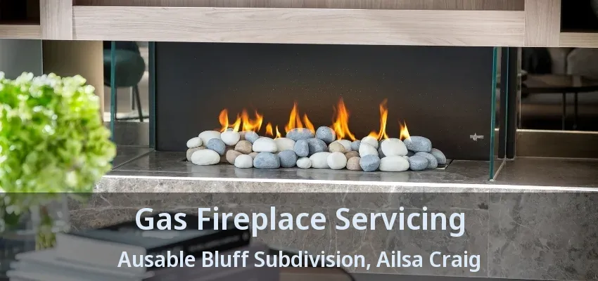 Gas Fireplace Servicing Ausable Bluff Subdivision, Ailsa Craig - ON