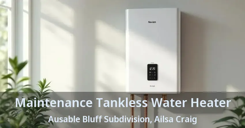 Maintenance Tankless Water Heater Ausable Bluff Subdivision, Ailsa Craig - ON