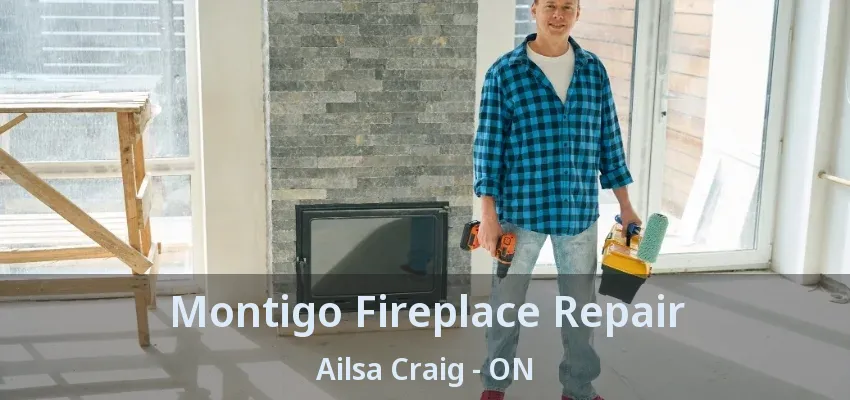 Montigo Fireplace Repair Ailsa Craig - ON