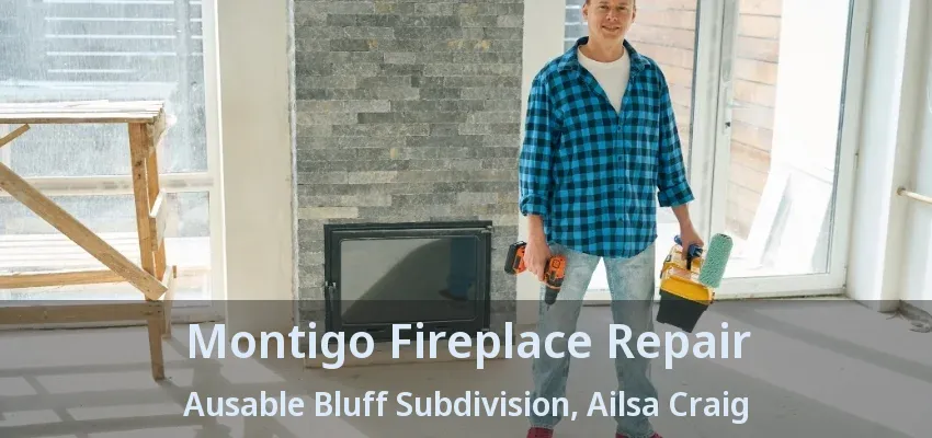 Montigo Fireplace Repair Ausable Bluff Subdivision, Ailsa Craig - ON
