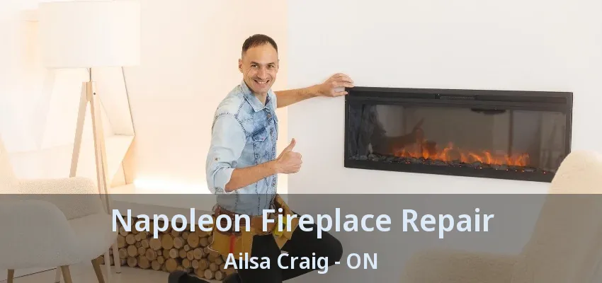 Napoleon Fireplace Repair Ailsa Craig - ON