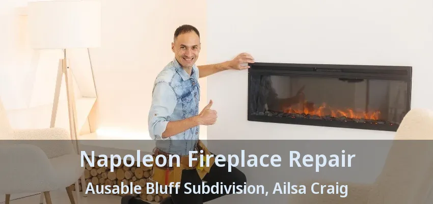Napoleon Fireplace Repair Ausable Bluff Subdivision, Ailsa Craig - ON