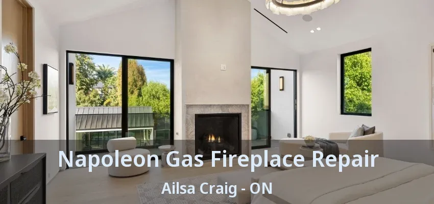 Napoleon Gas Fireplace Repair Ailsa Craig - ON
