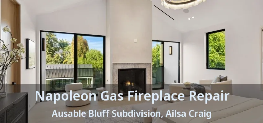 Napoleon Gas Fireplace Repair Ausable Bluff Subdivision, Ailsa Craig - ON Napoleon Gas Fireplace Repair Ausable Bluff Subdivision, Ailsa Craig - ON