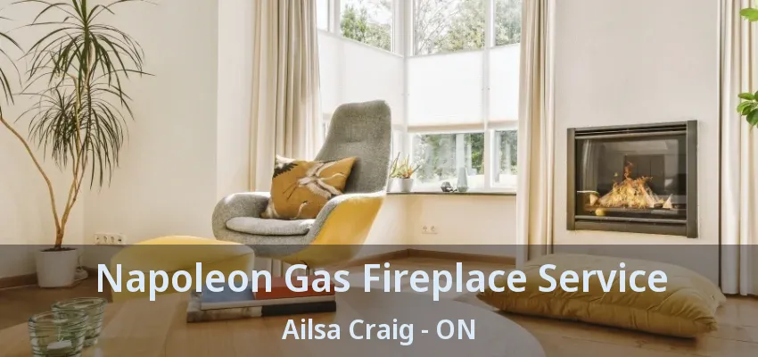 Napoleon Gas Fireplace Service Ailsa Craig - ON Napoleon Gas Fireplace Service Ailsa Craig - ON