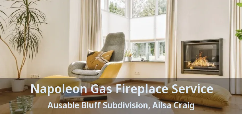Napoleon Gas Fireplace Service Ausable Bluff Subdivision, Ailsa Craig - ON