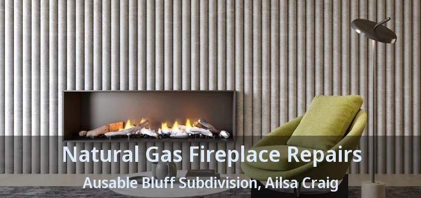 Natural Gas Fireplace Repairs Ausable Bluff Subdivision, Ailsa Craig - ON
