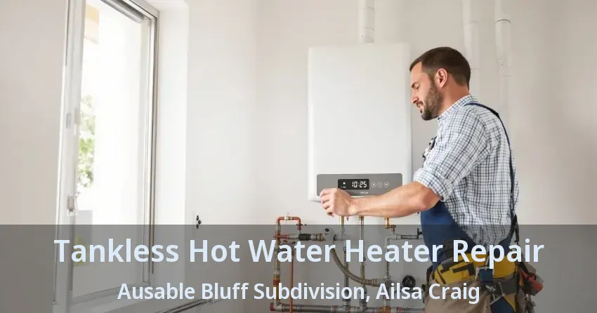 Tankless Hot Water Heater Repair Ausable Bluff Subdivision, Ailsa Craig - ON