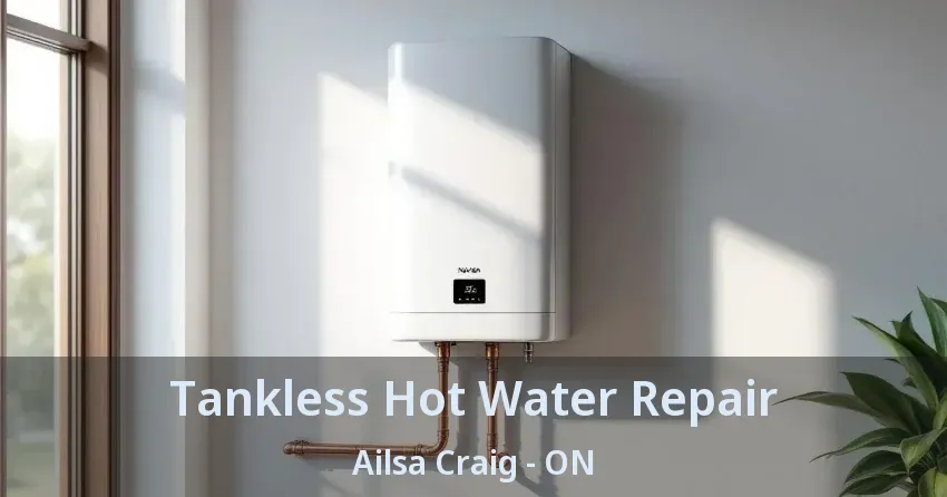 Tankless Hot Water Repair Ailsa Craig - ON