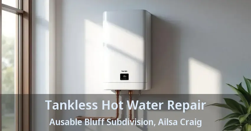 Tankless Hot Water Repair Ausable Bluff Subdivision, Ailsa Craig - ON