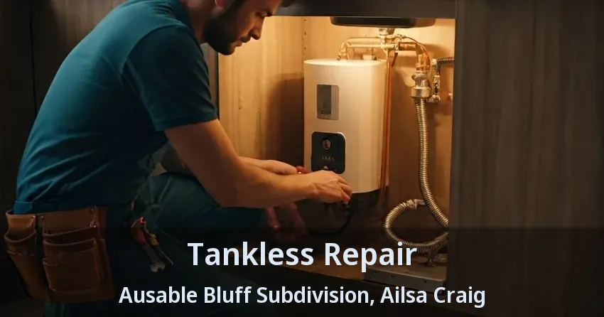 Tankless Repair Ausable Bluff Subdivision, Ailsa Craig - ON