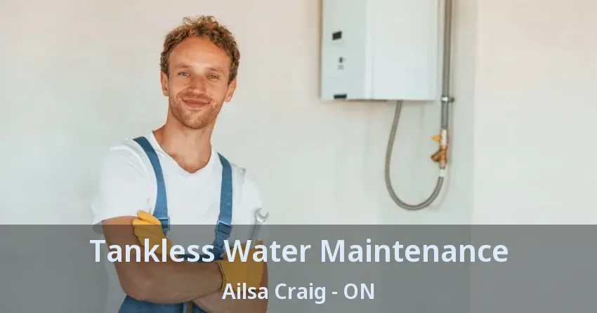 Tankless Water Maintenance Ailsa Craig - ON