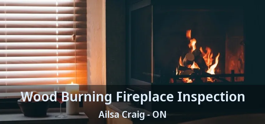 Wood Burning Fireplace Inspection Ailsa Craig - ON