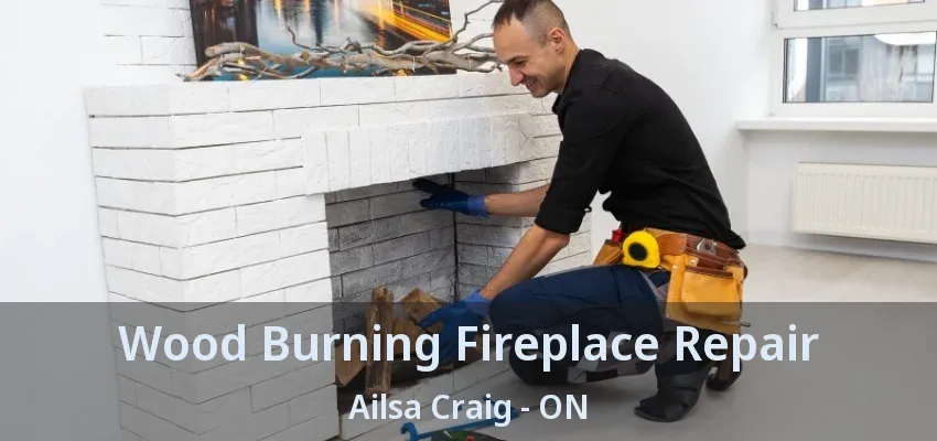 Wood Burning Fireplace Repair Ailsa Craig - ON