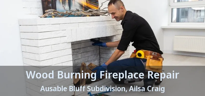 Wood Burning Fireplace Repair Ausable Bluff Subdivision, Ailsa Craig - ON